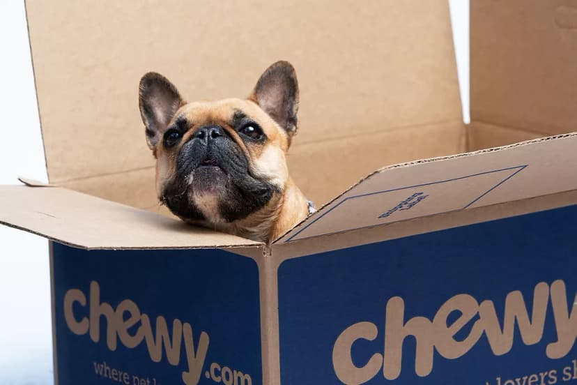 Chewy Review — Why So Many Pet Owners Switch and Rarely Come Back